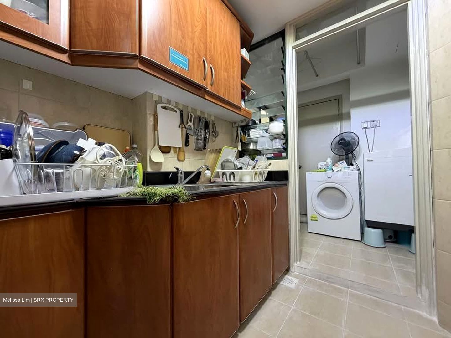 The Bencoolen (D7), Apartment #583440351